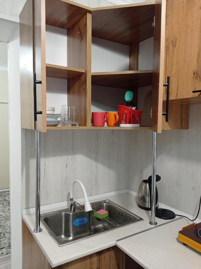NarynPamko住宿加早餐旅馆 外观 照片